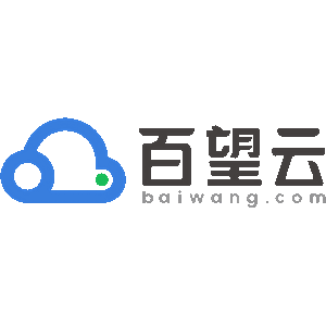百望智票