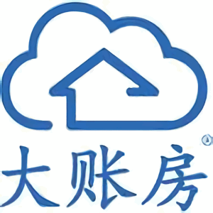 大帐房票通集团版